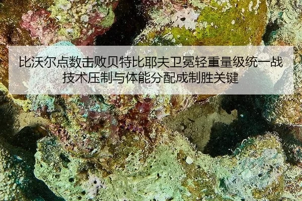 bi-wo-er-dian-shu-ji-bai-bei-te-bi-ye-fu-wei-mian-qing-zhong-liang-ji-tong-yi-zhan-ji-shu-ya-zhi-yu-ti-neng-fen-pei-2-544.jpg