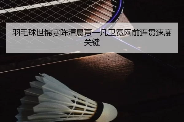 yu-mao-qiu-shi-jin-sai-chen-qing-chen-jia-yi-fan-wei-mian-wang-qian-lian-guan-su-du-guan-jian-3-848.jpg